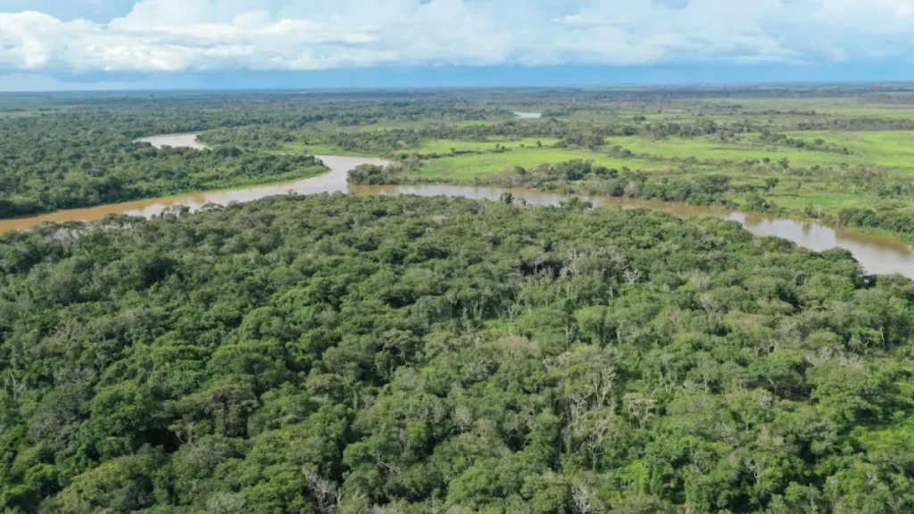 Plano de manejo destina 95% da reserva à proteção de onças