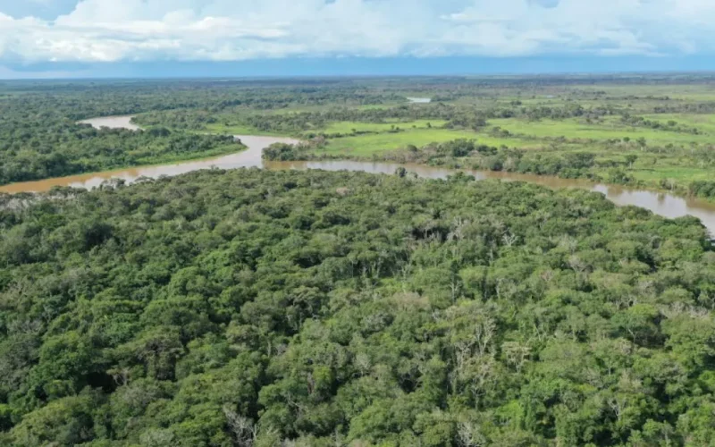 Plano de manejo destina 95% da reserva à proteção de onças
