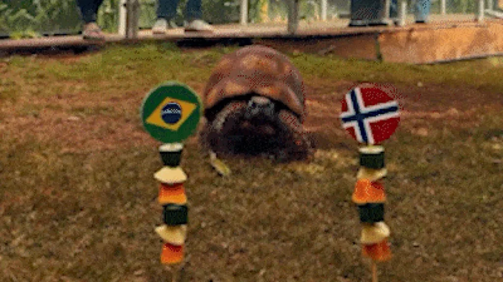 Jabuti ‘profeta’ acerta vitória norueguesa e elimina Brasil
