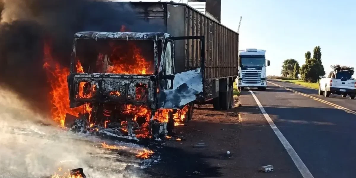 Carreta pega fogo e bois são soltos na MS-395