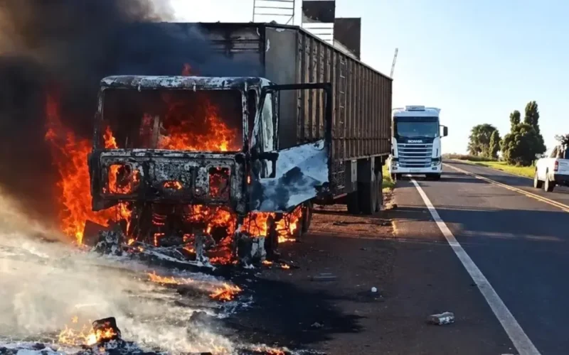 Carreta pega fogo e bois são soltos na MS-395