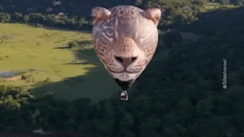 Balão em formato de onça-pintada voa inédito no Pantanal