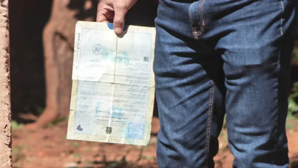 MS: 1.913 crianças nascem sem nome do pai em 2025