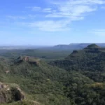 Desmatamento cai 65% no Pantanal e 11,5% no Cerrado