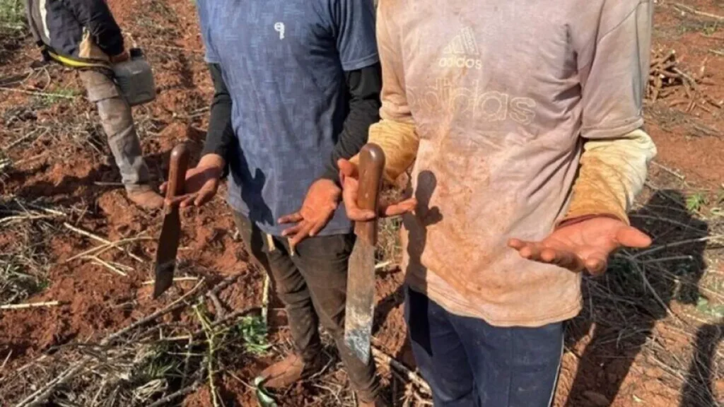 Fazendas de MS pagarão R$ 1,7 mi por trabalho escravo
