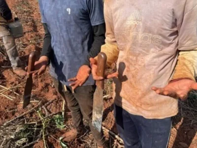 Fazendas de MS pagarão R$ 1,7 mi por trabalho escravo